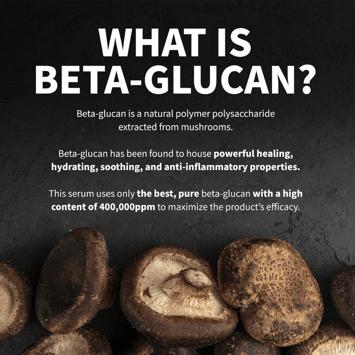 Image informative expliquant ce qu’est le bêta-glucane. L’image montre des champignons comme source de matière première et décrit le bêta-glucane comme un ingrédient aux propriétés hydratantes, apaisantes et bénéfiques pour la peau.