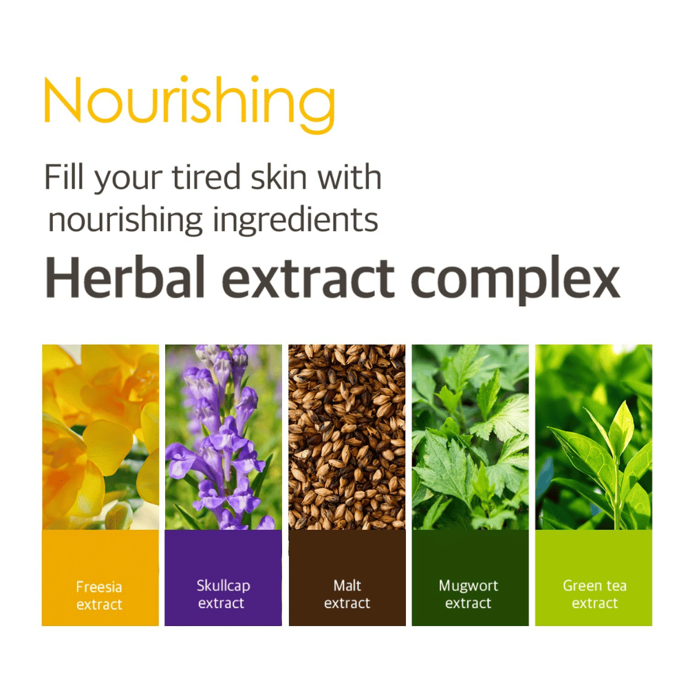 Image d’information sur le Herbal Extract Complex avec des extraits de plantes comme le freesia, la scutellaire, le malt, l’armoise et le thé vert, qui aident à nourrir et à soigner les peaux fatiguées.