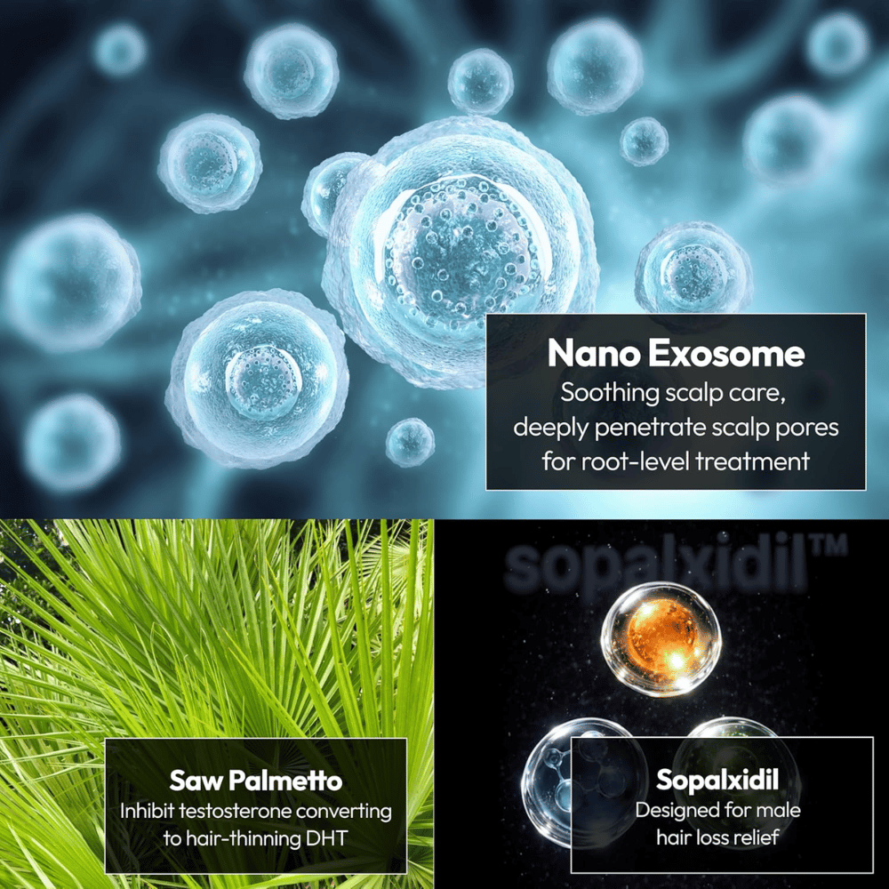 Illustration des ingrédients clés du produit, notamment les nanoexosomes, le saw palmetto et le Sopalxidil™. Les ingrédients sont mis en avant pour soutenir le soin du cuir chevelu, réduire la chute des cheveux liée à la DHT et renforcer les conditions favorables à la chevelure.