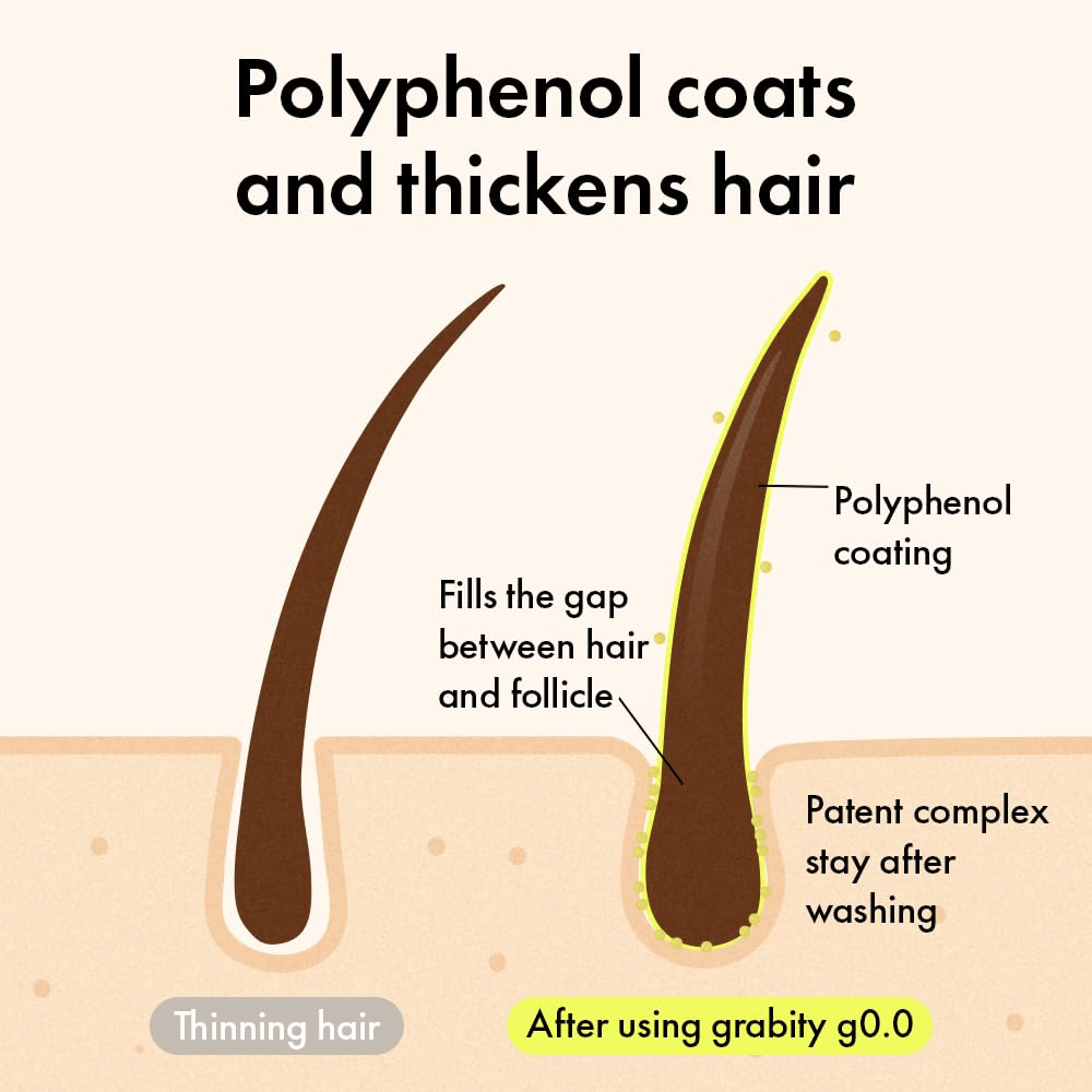 Schéma montrant comment les polyphénols enveloppent la fibre capillaire et comblent la zone autour du follicule pileux afin de créer une apparence plus épaisse et plus dense, même après le lavage.