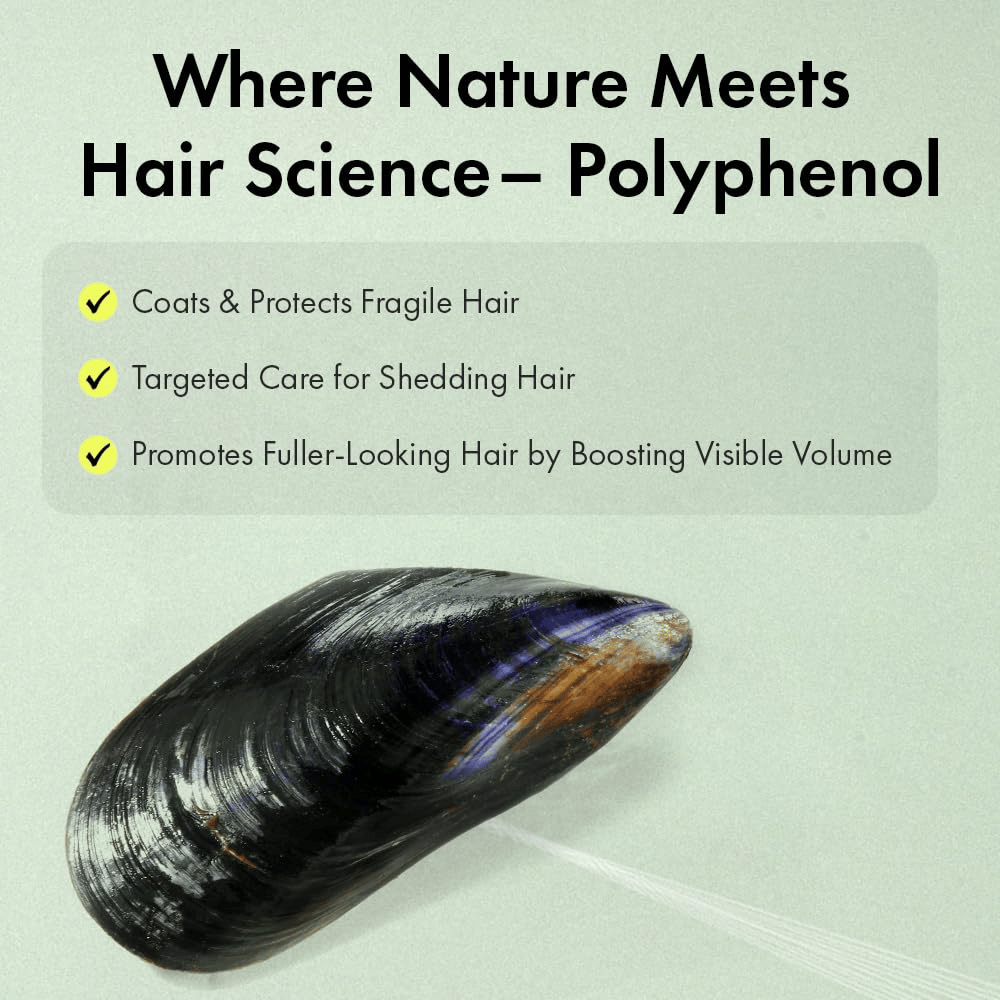Illustration d’une technologie aux polyphénols inspirée de la nature qui aide à protéger les fibres capillaires fragiles, à prendre soin des cheveux perçus comme fins et à contribuer à un volume accru.