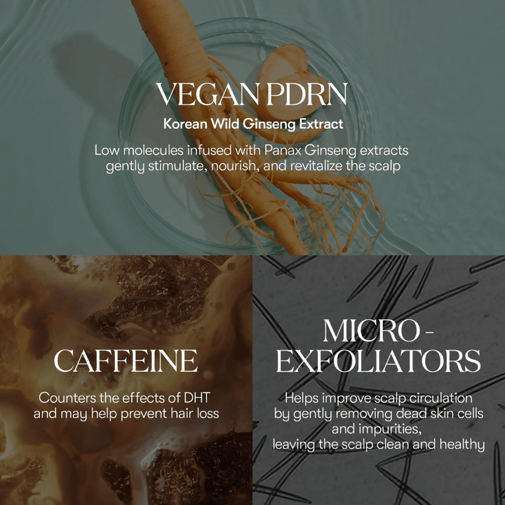 Illustration des ingrédients actifs dans PDRN Reedle Shot Hair Ampoule 100dL avec PDRN vegan de ginseng sauvage coréen, de caféine et de micro-exfoliants qui soignent et revitalisent le cuir chevelu.