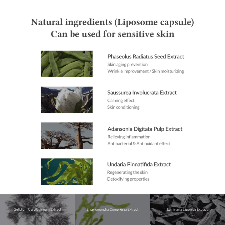 Dr. Althea Premium Quick Step Sebum Cleanser avec des ingrédients à base de plantes tels que Phaseolus Radiatus et des extraits similaires à la Centella qui aident à apaiser la peau, réduire l'inflammation et hydrater.