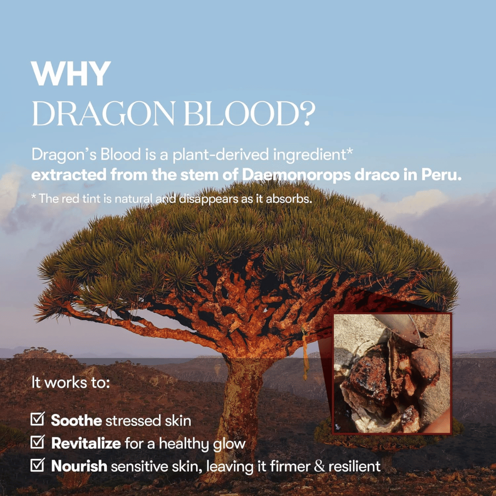 Illustration de l'arbre Dragon's Blood (Daemonorops draco) au Pérou, ingrédient dans VT Red Booster Reedle Shot 100 qui apaise la peau stressée, renforce la barrière cutanée et donne un éclat sain.