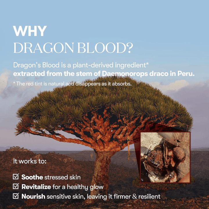Illustration de l'arbre Dragon's Blood (Daemonorops draco) au Pérou, ingrédient dans VT Red Booster Reedle Shot 100 qui apaise la peau stressée, renforce la barrière cutanée et donne un éclat sain.